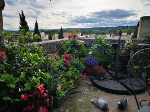 Un nid sur les toits face au palais des papes