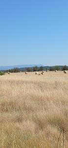 Villa de charme à Cucuron au pied du luberon