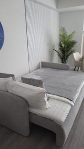 White Titanic Studio Premium