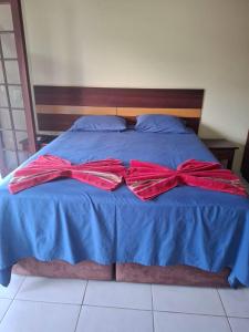 Casa Bem te vi Colibri