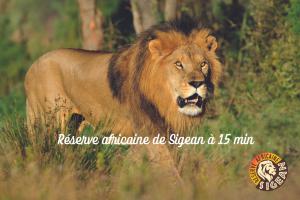 Chalets Entre Mer et Roseaux - Piscine - Proche centre et mer - Petfriendly : Chalet 3 Chambres