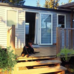 Chalets Entre Mer et Roseaux - Piscine - Proche centre et mer - Petfriendly : photos des chambres