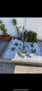 Midori-an 緑庵 - The Garden