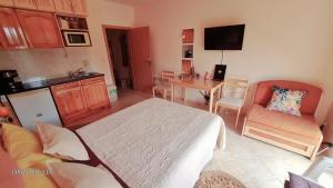 Приветливо смарт студио с изглед към Снежанка, до ски писта Пампорово-Стойките