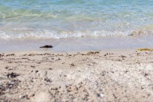 La Quinta Hurghada Pool & Sea View Ground floor