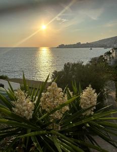 M&G apartamentIonianSarandasea