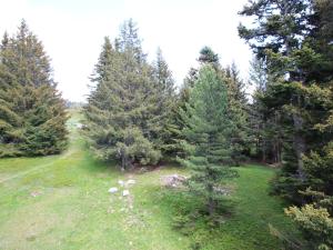 Studio cabine au pied des pistes, balcon sud-est, proche commerces - FR-1-549-61