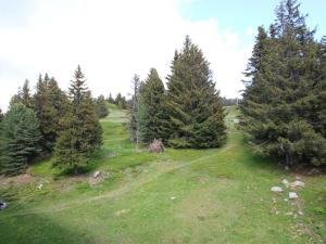 Studio cabine au pied des pistes, balcon sud-est, proche commerces - FR-1-549-61