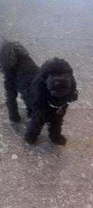 Appartamento CASA DEI NONNI