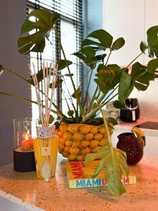 Kleurrijke nieuwe woonst in hartje Antwerpen