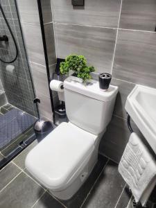 The Aries Studio Apartment