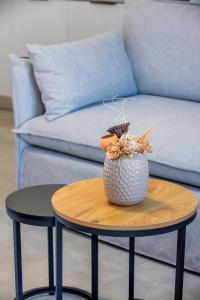 DS Elegant Apartment