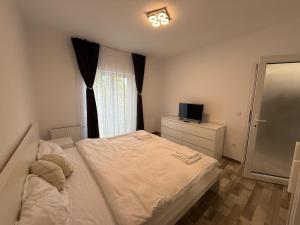 MOFT Apartament central