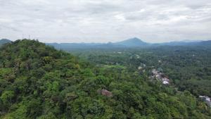 Elephant vale