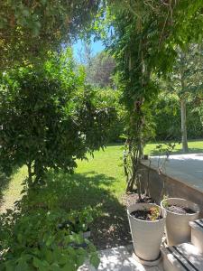 Villa Amalia Perla Resort