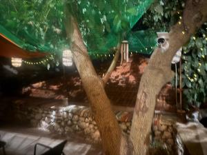 Carmen ground floor Apartment with terrace - Lakones