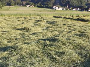 Maurerhof Apartments Kronplatz