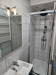 Chambre confort - salle de bain - 5 mins Gare Annemasse