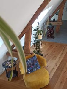 Sous les Étoiles de Gaume