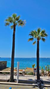 Deux pièces cosy, front de mer, terrasse et 2 SdB