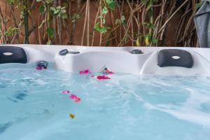 Villa centre Marrakech piscine sans vis-à-vis et Jacuzzi