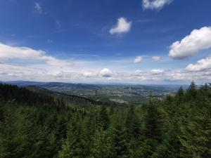 Apartament Nosalowy Sen Jacuzzi & Sauna