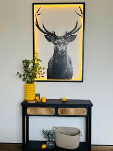 Black&Yellow Apartment Bielefeld 24h Check in WLAN Parkplatz ÖPNV