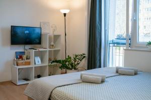 Small but cozy apartment