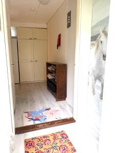 Yksiö Nuutajärvi Pikku Masa