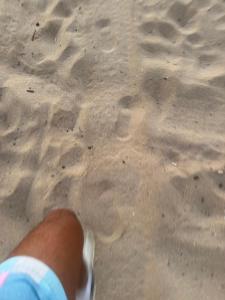 Momo Surf House Taghazout