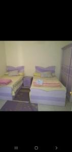 شاليه العين السخنه