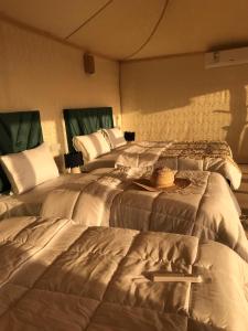 Luxury Desert Tents - Agafay Experience