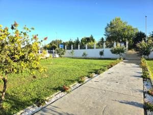 Apartments Dacic