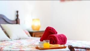 Villa Aránzazu with private pool