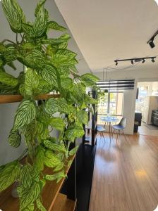 Black306 - Lemos Quality Home