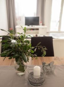 Apartments with parking space Korcula - 24457