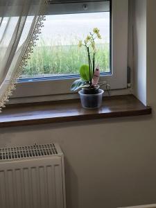 Apartamenty Stara Cegła