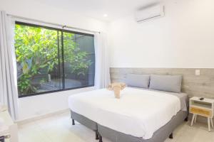 Somnara Casa Botánica near the beach