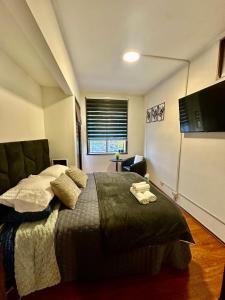 Santiago Centro Apartment