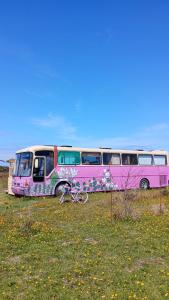 Bus Casa en observatorio de aves