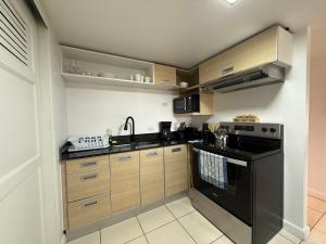 CR MARIPOSA RENTALS Brand New lake view Penthouse with office space