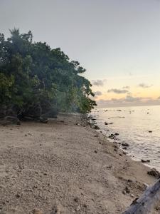 Homestay Yenbeyar Raja Ampat