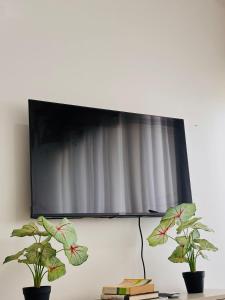 Minimalist Comfort Modern Stay Cozy Vibes