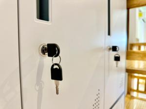 Sunzal Surf Garden - El Tunco