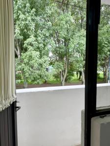 Departamento Independiente