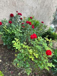 Maisons de vacances Villa Verdon en Provence - Vue sur le Lac d-Esparron sur Verdon : photos des chambres