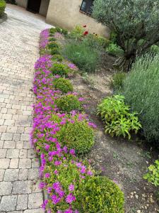 Maisons de vacances Villa Verdon en Provence - Vue sur le Lac d-Esparron sur Verdon : photos des chambres
