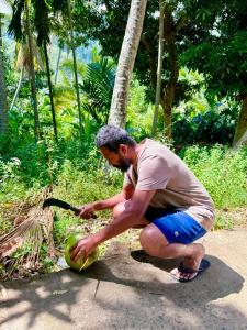 Hiking point Treehouse Ella