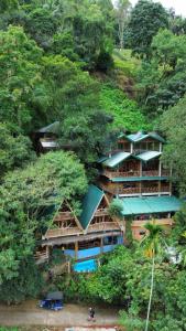 Hiking point Treehouse Ella