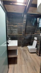 Vila Alpine Arlon Gjinar